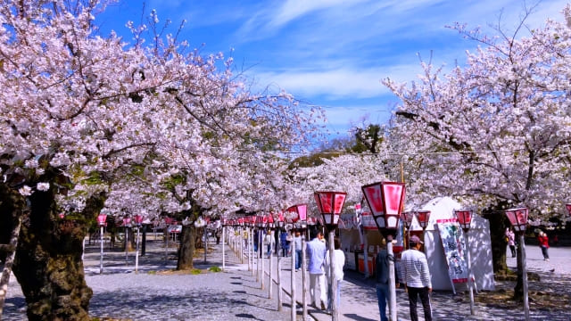 三嶋大社の画像