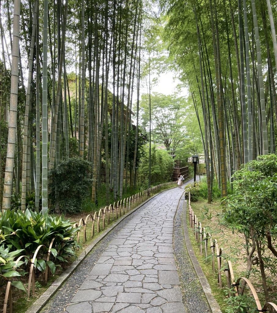 竹林の小径の画像